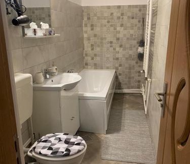 Focsani Apartment | Lemora Apartments 2