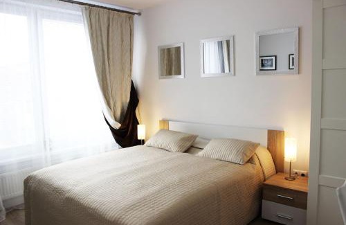 Old Town Apartment | LEO Apartment FREE PARKING - Augusta