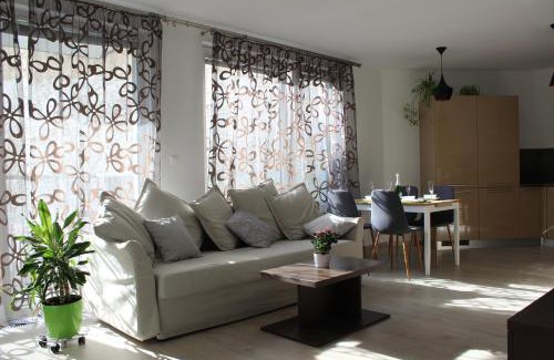 Old Town Apartment | LEO Apartment FREE PARKING - Augusta