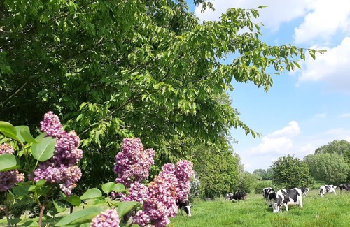 Beaurepaire-sur-Sambre Apartment | Les écureuils