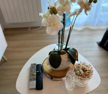 Torcy Apartment | Les 6 reflets du lac
