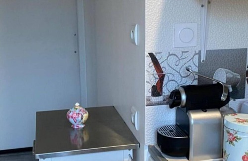 Aurillac Apartment | les Alouettes