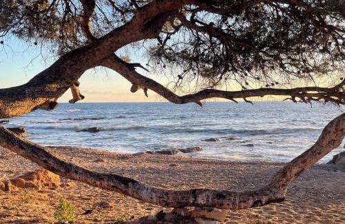 Boulouris-sur-Mer Apartment | Les Anthemis- Bord de mer