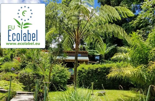 Saint-Claude Cabin | Les Bananes Vertes Ecolodges