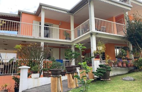Cilaos House | Les Begonias