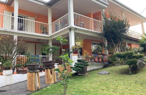 Cilaos House | Les Begonias