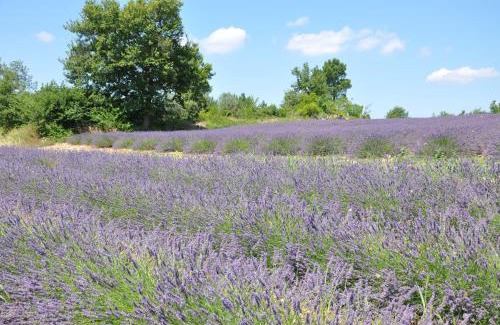 Generargues House | Les Bons Vivants Cévenols