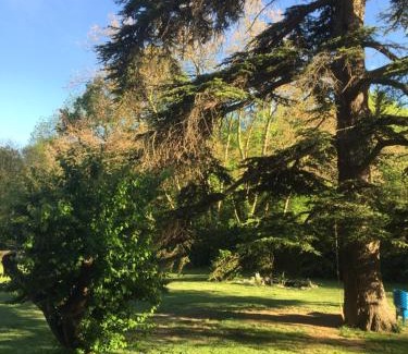 Chalabre House | Les cèdres