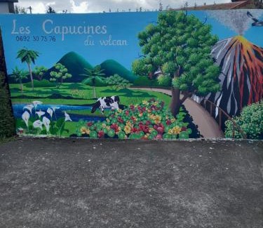 La Plaine des Cafres House | Les capucines du volcan Plaine des cafres