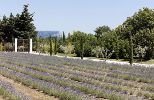 Aix-en-Provence House | Les Chambres Romantiques - Suite JACUZZI Privatif, Domaine Aixois d'exception
