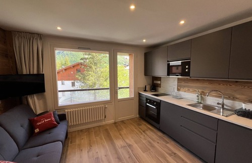 Le Cret Apartment | Les Clarines