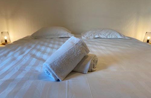 Saint-Pierre - Rene II - Bonsecours Apartment | Les Cosy De Nancy - Urban Jungle - 4 étoiles