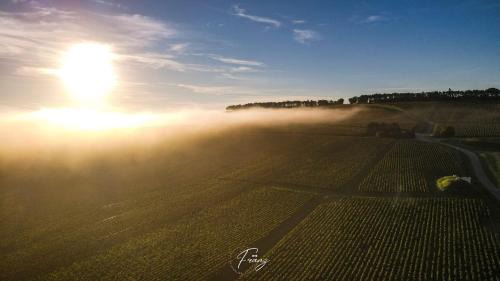 Noe-les-Mallets Other | Les crins du vignoble