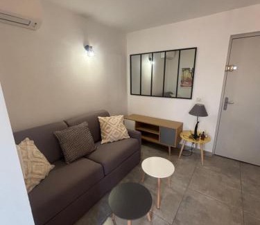 La Capte Apartment | Les Flamants Roses La Capte T2 4 personnes 200m de la plage