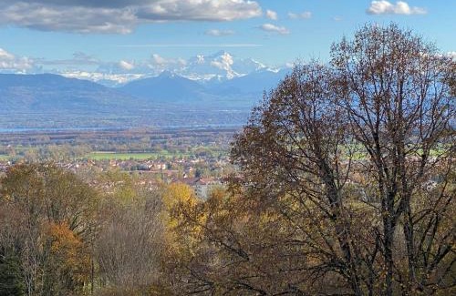 Gex Apartment | Les Hutins