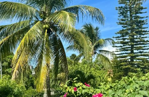 Morel House | Les Jardins de Joyce