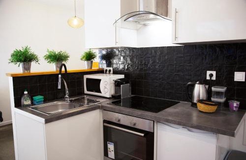 Provins Apartment | Les Lofts De Provins Apt 2