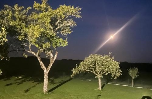 Morville Apartment | Les mirabelles