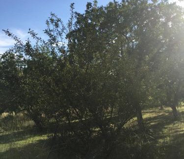 Morville Apartment | Les mirabelles