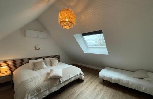 Saint-Aignan House | Les oiseaux du paradis