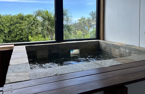 Trois-Bassins Apartment | LES PALMIERS 1 - appt 4 people in the West with jacuzzi near the beaches