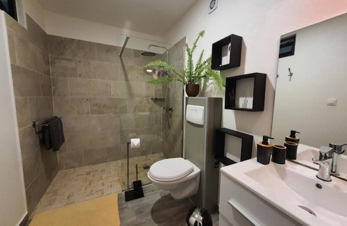 Le Tampon House | Les Palmiers verts