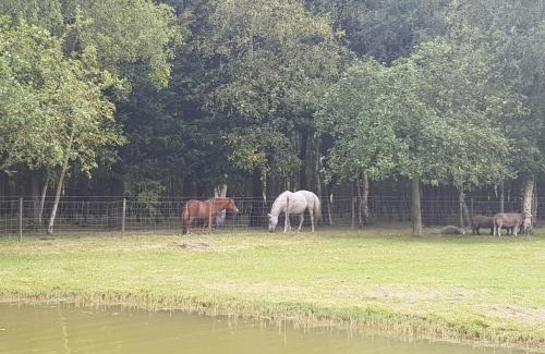 Saint-Quentin-en-Tourmont House | les portes des Froises
