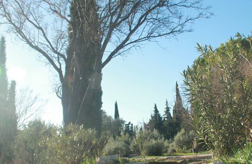 Mormoiron Apartment | Les Roucas: studio type, guaranteed Provençal charm, garden and pool view