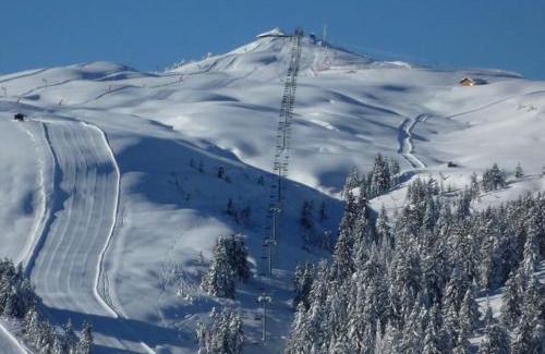 Les Saisies Apartment | Les Saisies - Studio cabine rénové 4/5 pers avec terrasse exposée sud, animaux tolérés. - FR-1-293-161