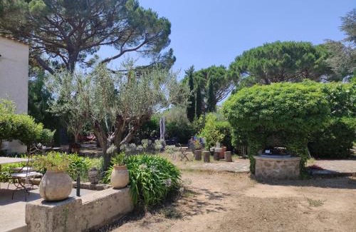 Cote d'Azur- French Riviera Apartment | Les Térrasses de Saint-Tropez