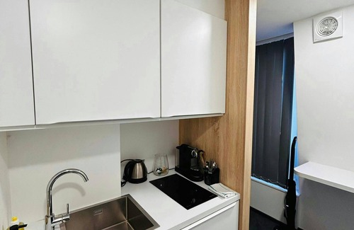 Reims City Centre Apartment | Les Toits de Langlet Hypercentre