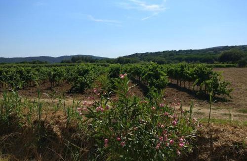 Ramatuelle Apartment | LES VIGNES ET LA PINEDE PRES DE LA PLAGE