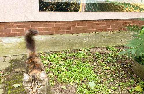 Lesnoy Resort | Lesnoye Holiday Park