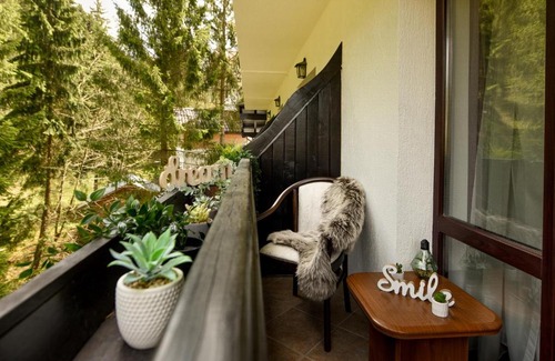 Predeal Apartment | LET'S SKI - Wild & Free Ideal Room with View