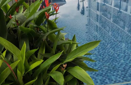 Pasay Condo | Levi & Moon's Home