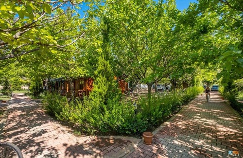 Cirali Hotel | Likya Yanartaş Bungalow