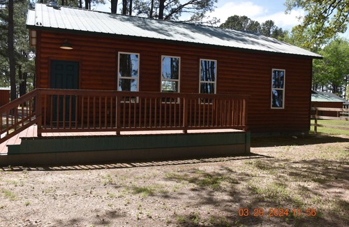 Canton Cabin | Lil' Cabin In The Woods