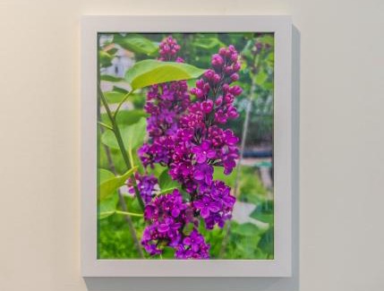 South Haven House | Lilac Cottage-Private getaway close to beach