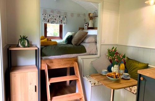 Holsworthy Ski Chalet | Lilliput - Delightful 1-bedroom shepherd's hut