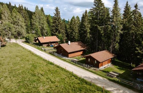 Arriach Ski Chalet | Lima Alpine Lodges - Almhaus Gertraud & Theresia