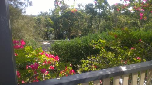 Linley Point Bed & Breakfast | Linley House
