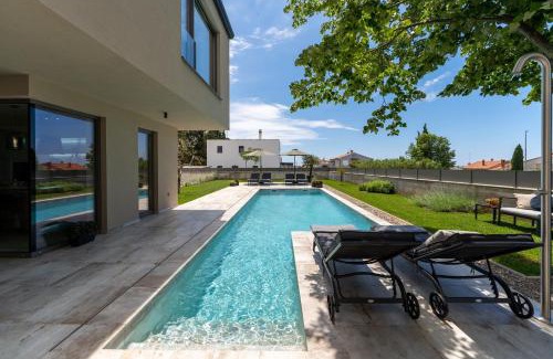 Novigrad Villa | Lipa Tree