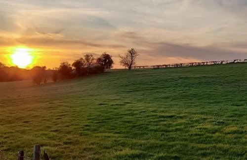 Chute Forest House | Litet Hem