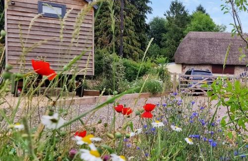 Chute Forest House | Litet Hem