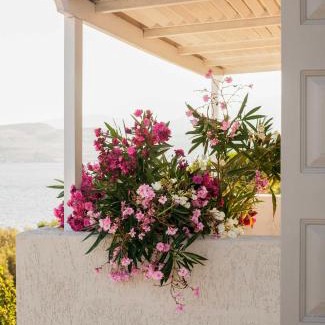 Anaxos Apartment | Little Bird Lesvos