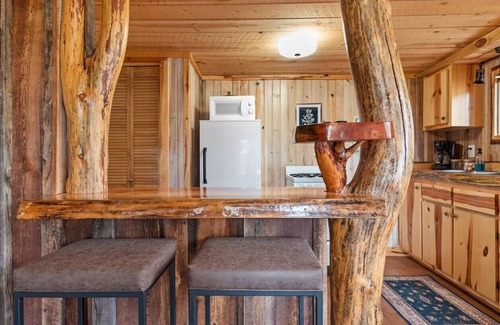 Custer Apartment | Little Joy: Needle Spire Views + Sauna + Wildlife