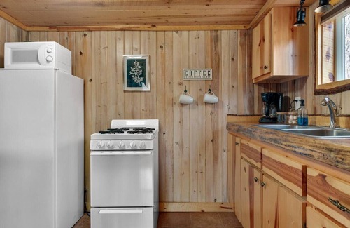 Custer Apartment | Little Joy: Needle Spire Views + Sauna + Wildlife