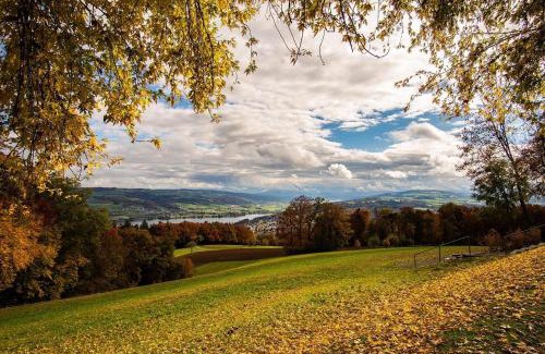 Teufenthal Apartment | Little Nest - Natur&Ruhe zwischen Seen und Schlössern