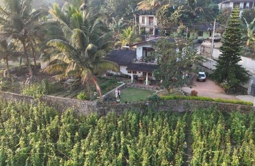 Kumbalwela House | Ella Nature Valley Homestay - Deluxe Family Room with Mountain View