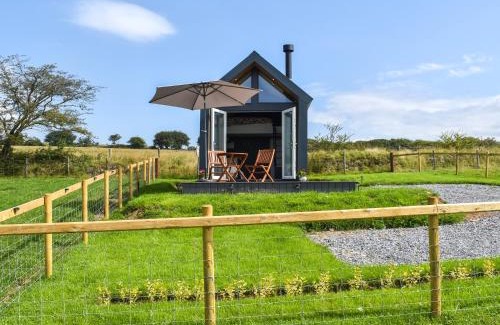 Pontardulais House | Llandremor Fawr Lodge - Uk50336